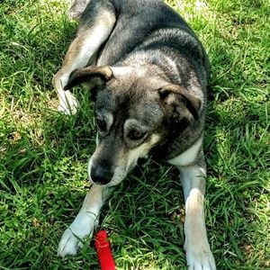 Meet your Posher, Danna